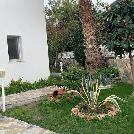Canna Garden - Adult Only Gumbet