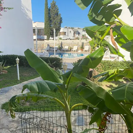 Canna Garden - Adult Only