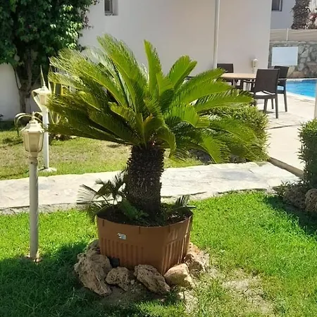 Canna Garden - Adult Only 4* Gümbet